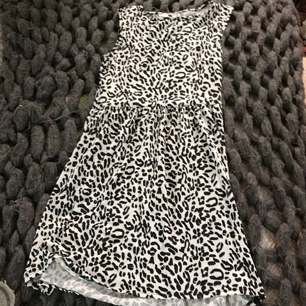 Skater Dress